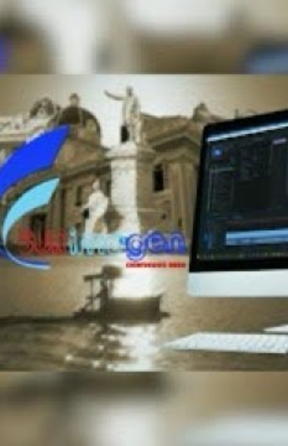 Festival Surimagen 2025