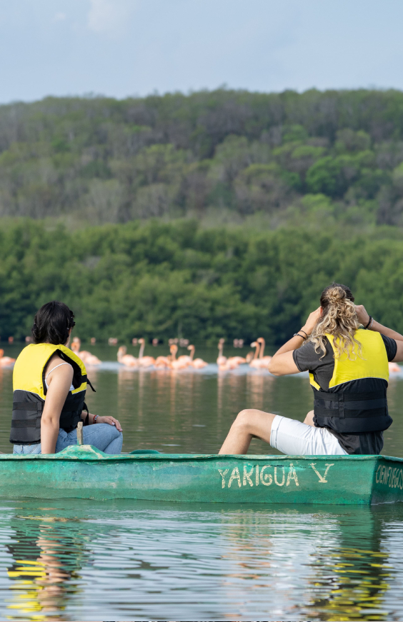 Refugio de Fauna Laguna Guanaroca – Gavilán