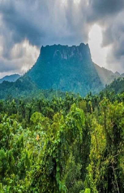 Naturaleza