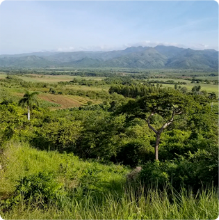 Patrimonios Naturales