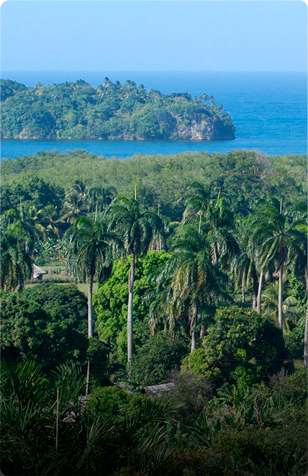 Paisaje del Parque Nacional Alejandro de Humboldt, selvas y relieve montañoso en el oriente de Cuba.
