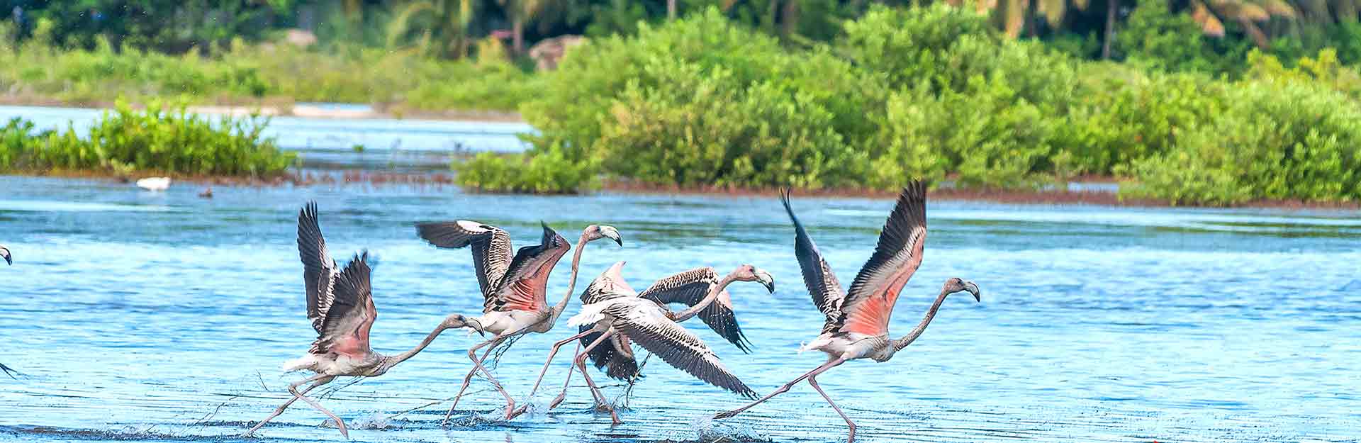 El Nicho, Сienfuegos, Turismo ecológico, Cuba Travel