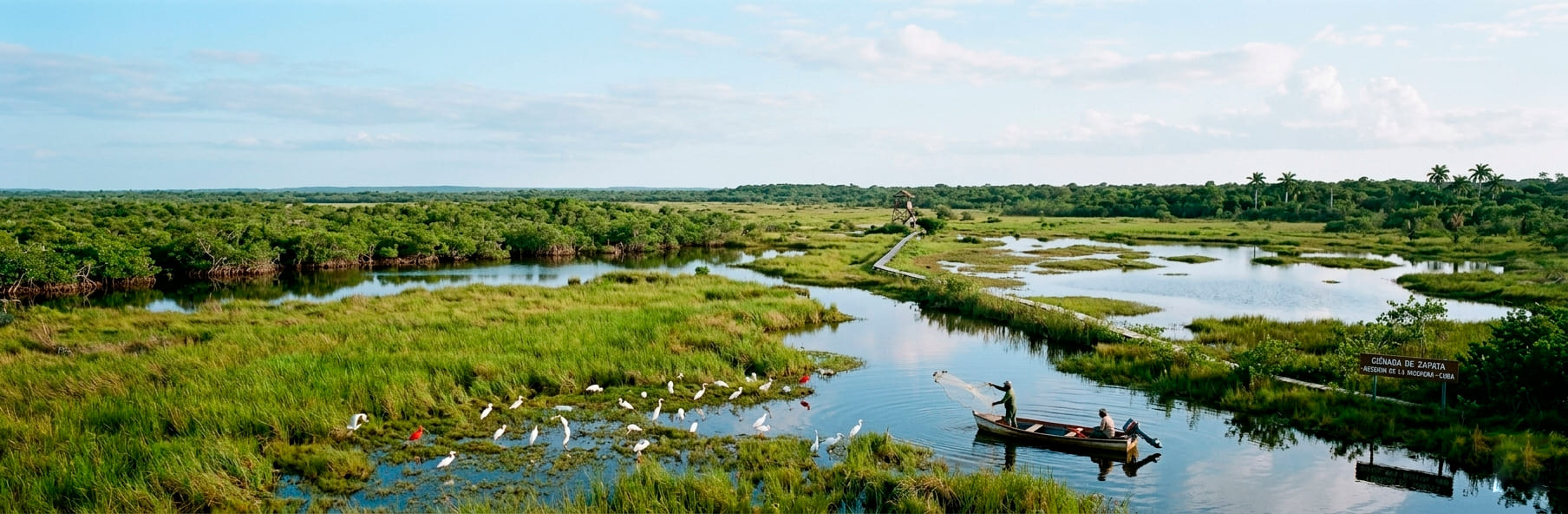 Paisaje de humedales y vegetación en la Ciénaga de Zapata, Matanzas.