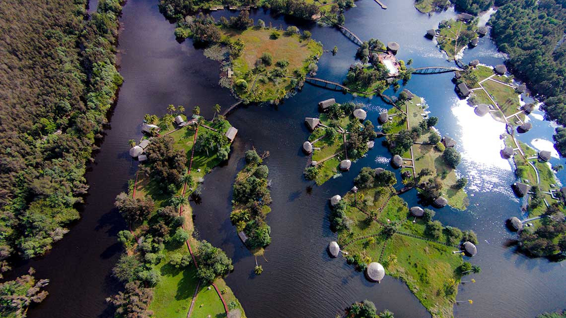 Paisaje de humedales y vegetación en la Ciénaga de Zapata, Matanzas.