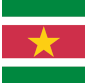 bandera de la República de Suriname